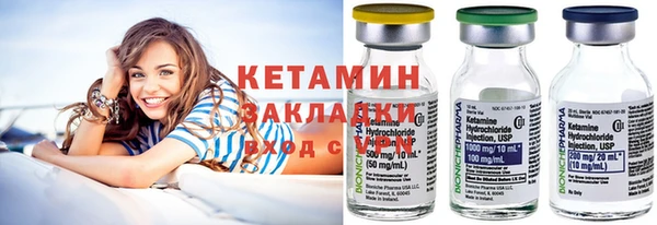 сатива Новозыбков