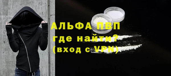 сатива Новозыбков