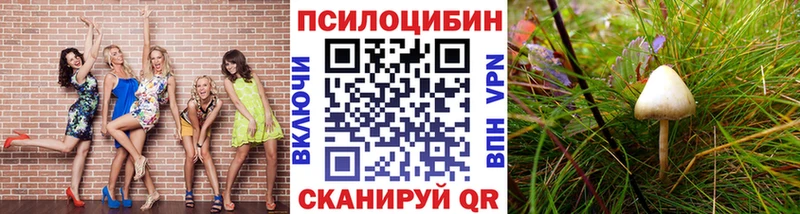 продажа наркотиков  Мамоново  Псилоцибиновые грибы Magic Shrooms 